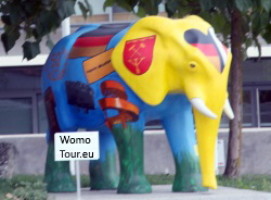 Elefant 250